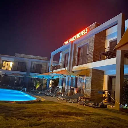 Hotel The Search