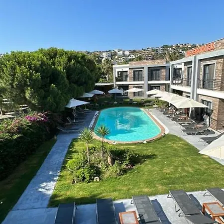 The Search 4* 博德鲁姆