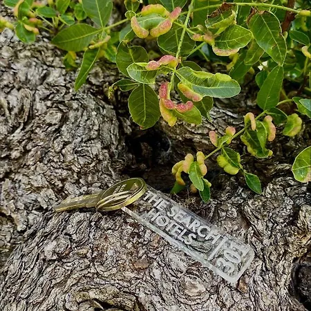 The Search 4* 博德鲁姆